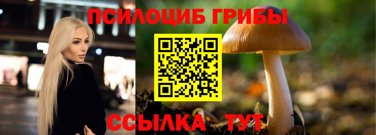 Галлюциногенные грибы Cubensis Дербент